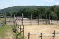 /album/freedom-ranch/foto-stall-03-jpg/